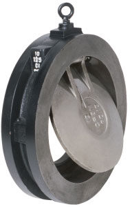 CSW125IS Cast Iron Wafer Swing check valve