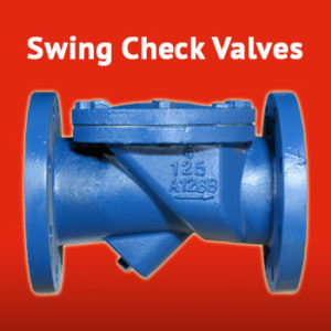 Sure Flow Swing Check Valves