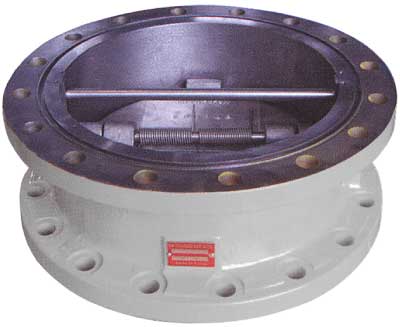 Flange Style Check Valve Sure Flow