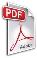 angled PDF icon