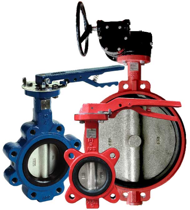 Butterfly Valve group photo