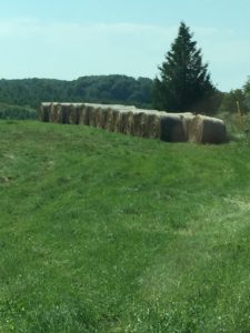 BALES-OF-HAY