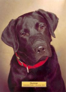 Gunner the Black Lab graduated grade one photo
