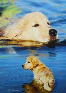Milo the Golden Retriever