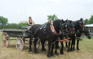 Penni Boxall with team of horses