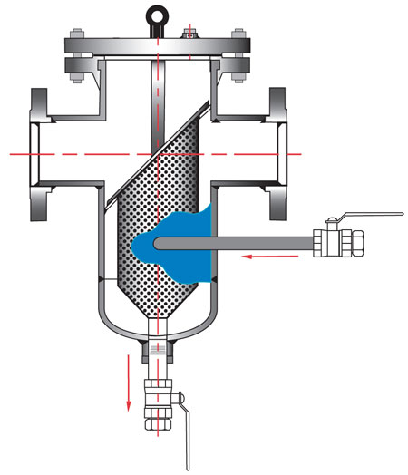 basket strainer with washdown and backwash