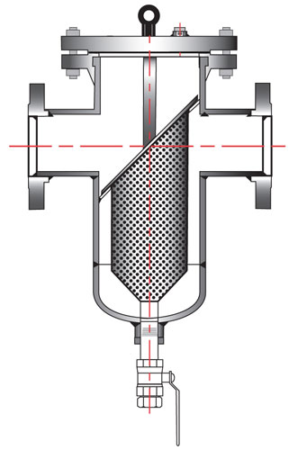 basket strainer with washdown valve