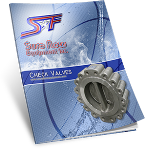 Check Valve catalog cover