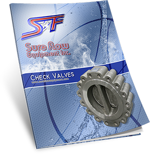 Check Valve catalog cover