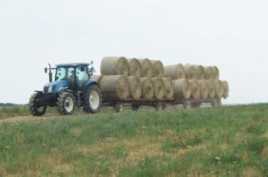 tractor load of hay photo