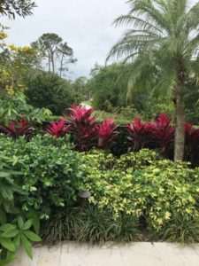John Wordsworth back yard in Florida