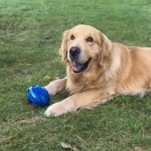 Acer the quarterback with football