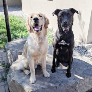 Odus and a buddy on a rock