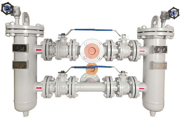 DB150 2 and a half x 6 inch dual basket strainer 25 GPM