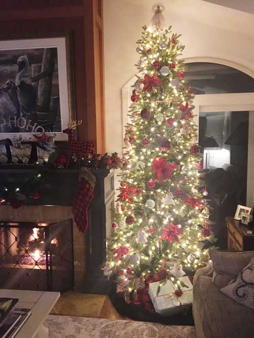 Christmas tree by the fire