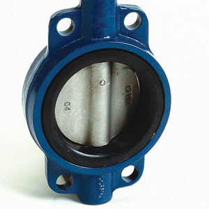 butterfly valve photo for seat material
