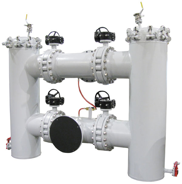 Dual Basket Strainer with Pressure Differential and Flanged Vents and Drains