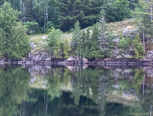 Georgian Bay shoreline mirror image